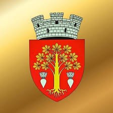 Î.M. DPGСL BIRUINTA